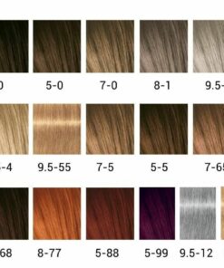 igora expert mousse kleurkaart