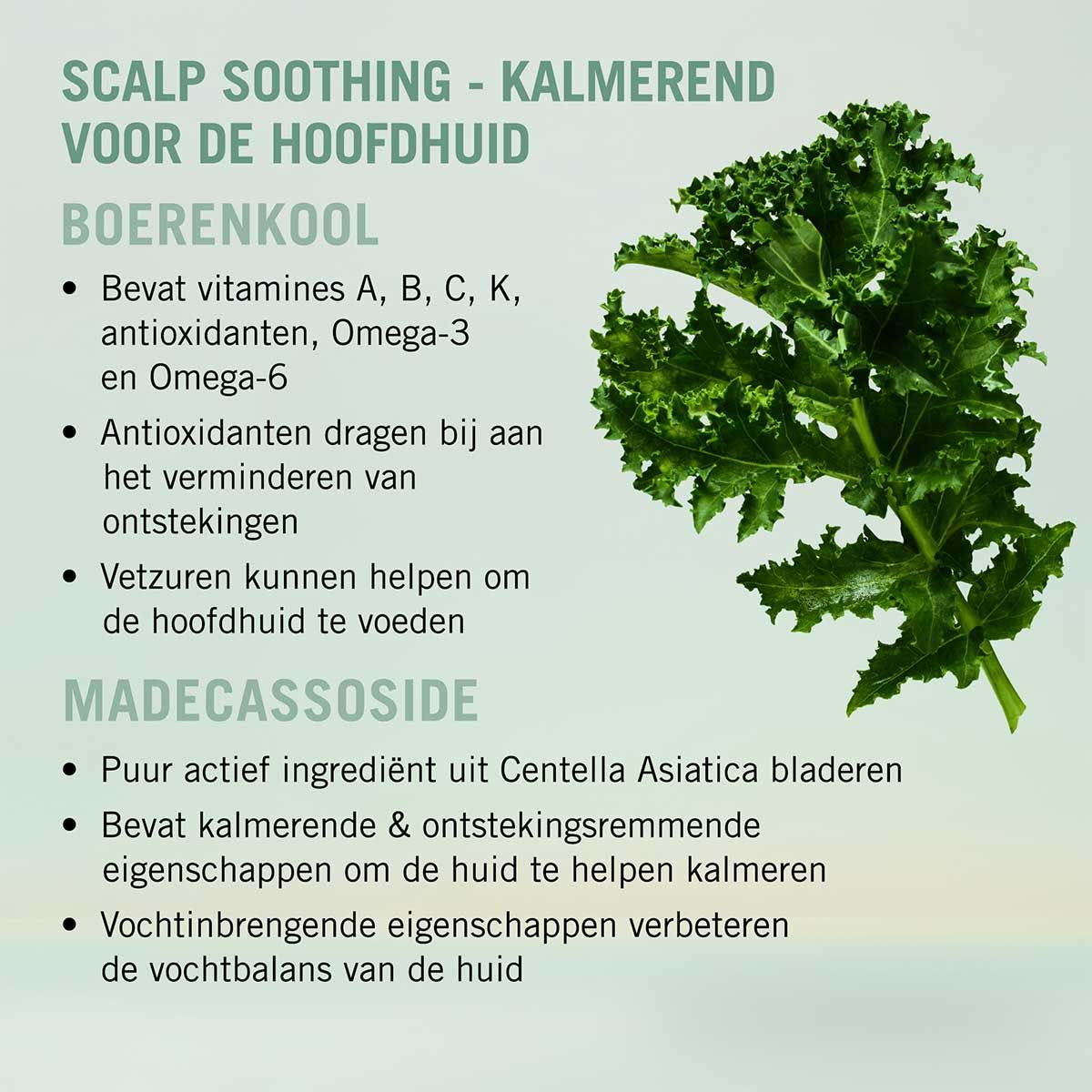 Schwarzkopf Professional BC Bonacure Scalp Care Soothing Shampoo - In Sfeerbeeld 3 - Vakkappers