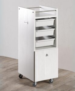 Salon Ambience Werkwagen STYLE - Sfeerbeeld Vakkappers